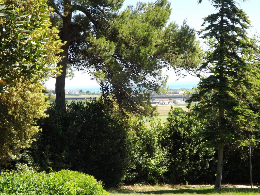 Tenuta Villa Colle Sereno Montemarciano Exterior photo